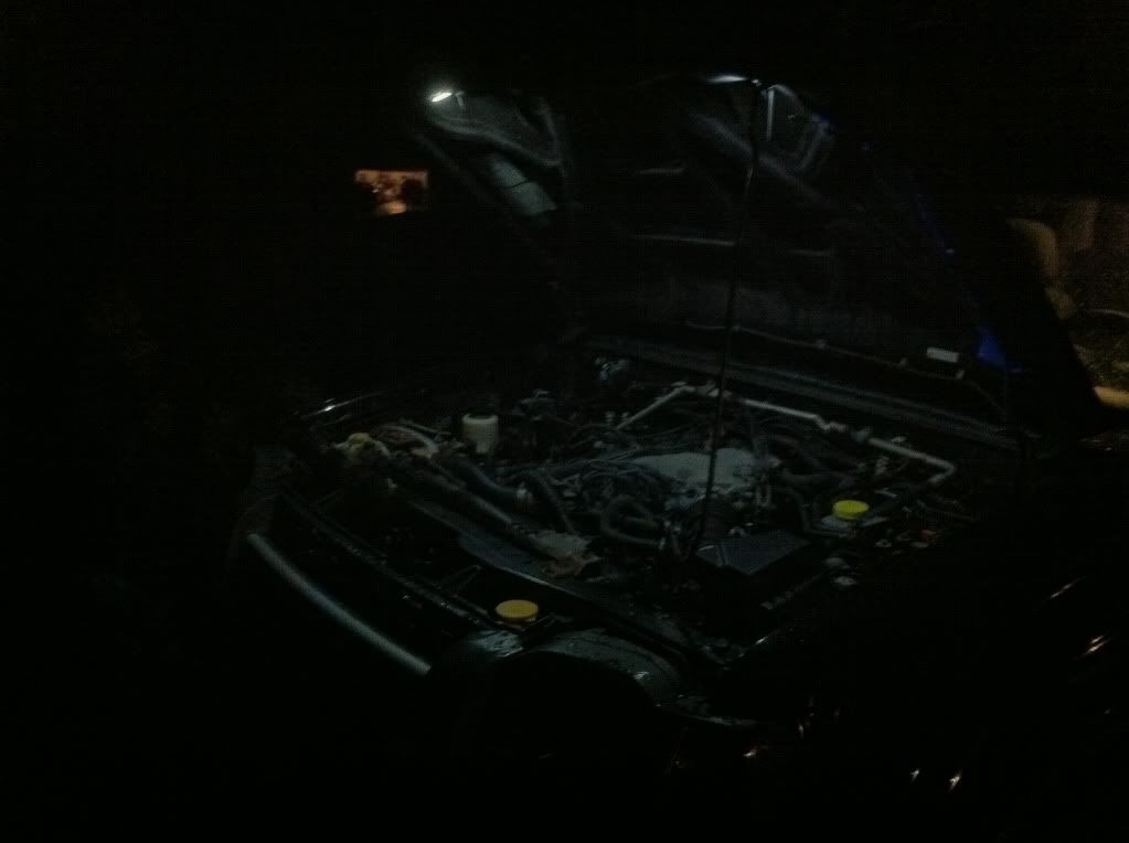 Engine bay lighting XterraNation